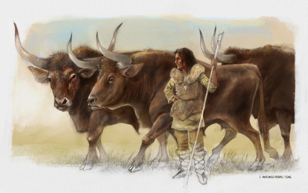 Aurochs Aurochs