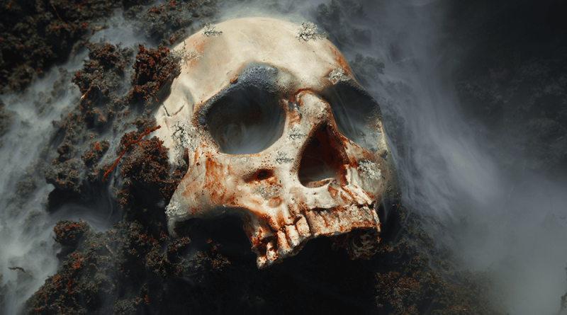Forensic scientists have found that dead bodies keep moving for more than a year after they have died