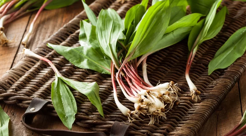 Here's how fruits and vegetables looked before we started growing them in our gardens