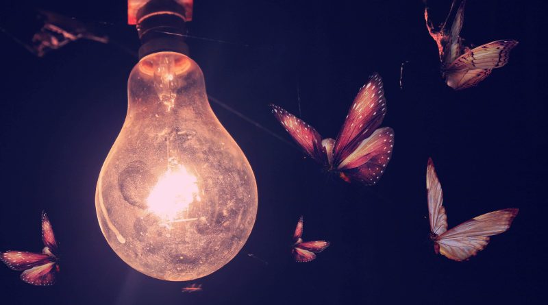 If you want to avoid attracting insects, choose this type of light bulb
