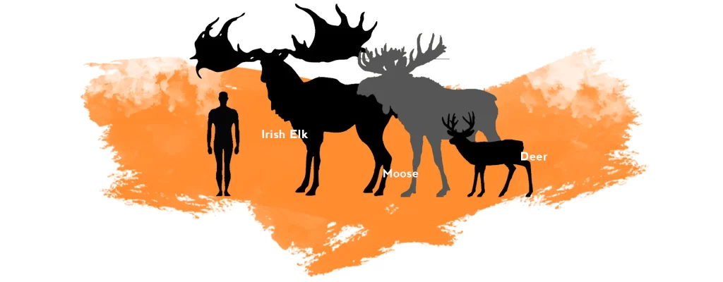 Irish Elk Irish Elk