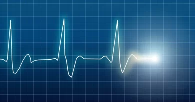 Is it true that we only get so many heartbeats in a lifetime? Here’s what the research shows