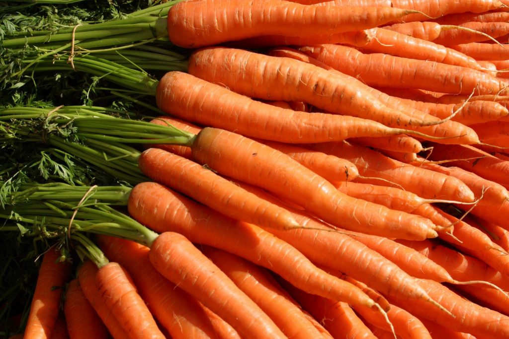 Modern carrot