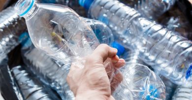 We all do it, but is it safe to use the same plastic water bottle over and over again?