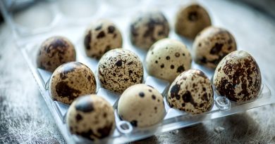 Quail Eggs: How to Boil, Peel, and Crack Them