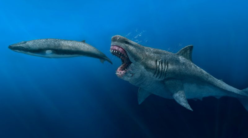 The thing that killed the giant Megalodon might still live in our oceans today