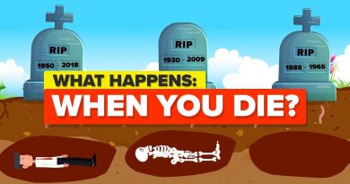 This Is What Happens When You Die