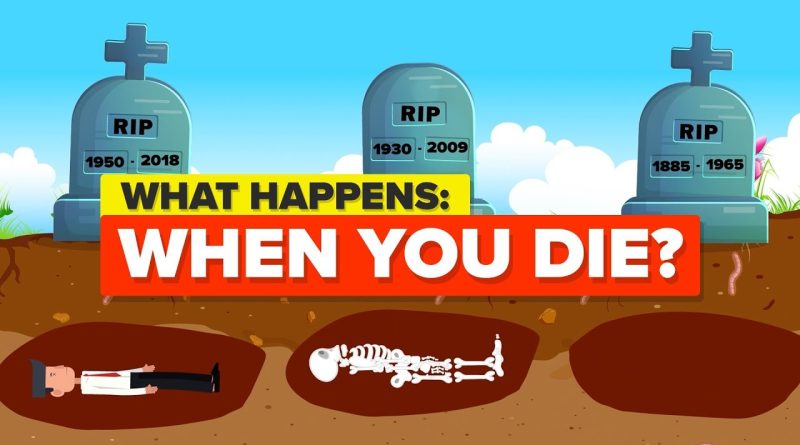 This Is What Happens When You Die