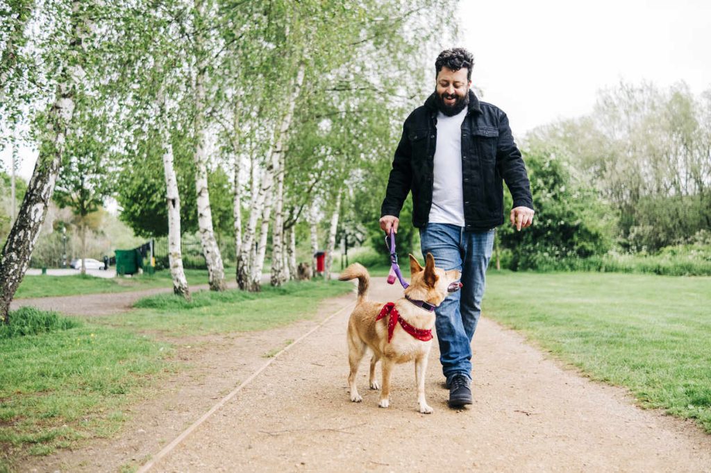 Walk the dog - injournal.online Walk the dog