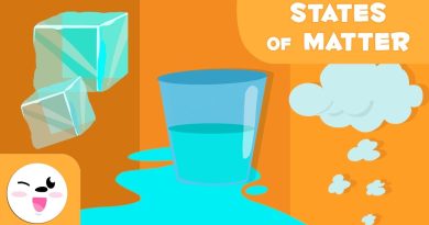 What are the different states of matter?