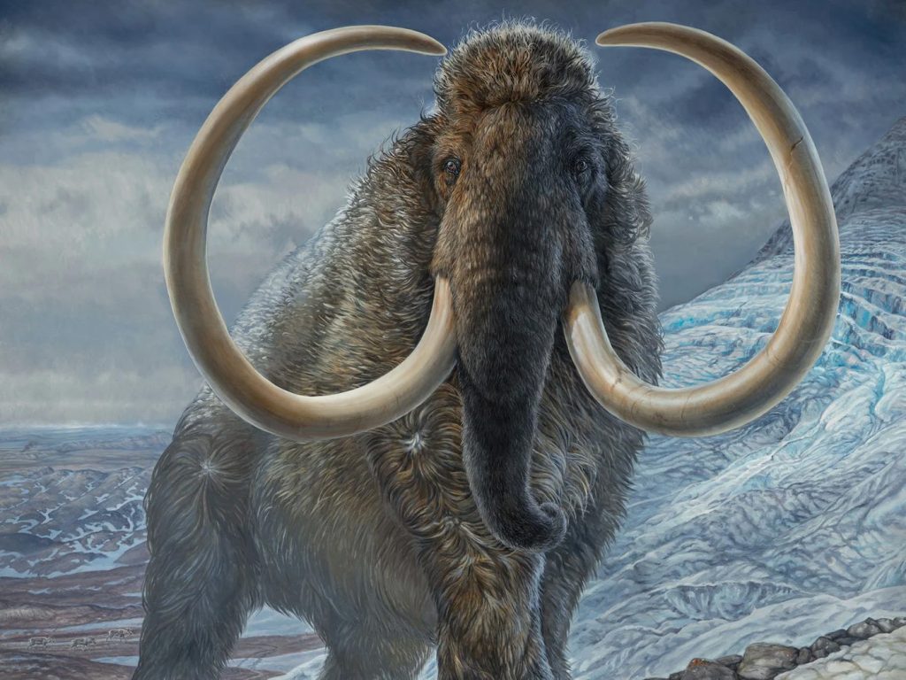 Woolly Mammoth Woolly Mammoth